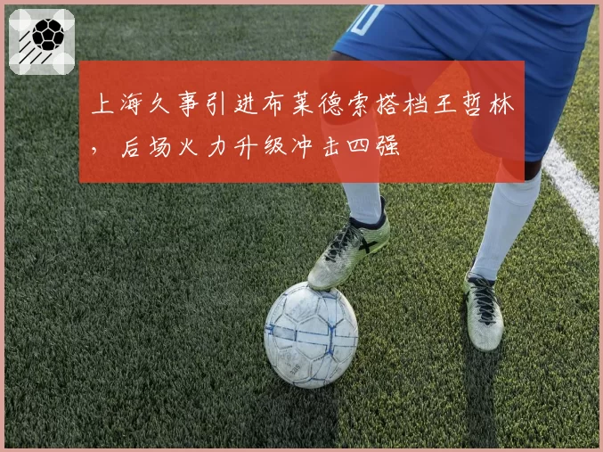 上海久事引进布莱德索搭档王哲林，后场火力升级冲击四强