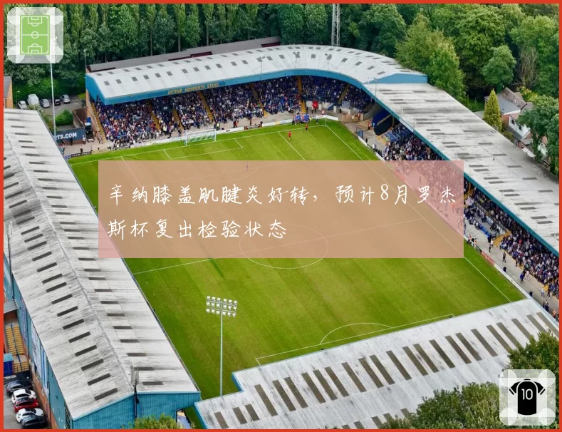 辛纳膝盖肌腱炎好转，预计8月罗杰斯杯复出检验状态