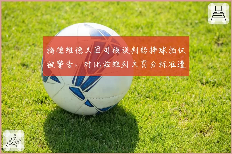 梅德维德夫因司线误判怒摔球拍仅被警告,对比兹维列夫罚分标准遭质疑
