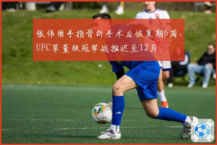 张伟丽手指骨折手术后恢复期6周，UFC草量级冠军战推迟至12月