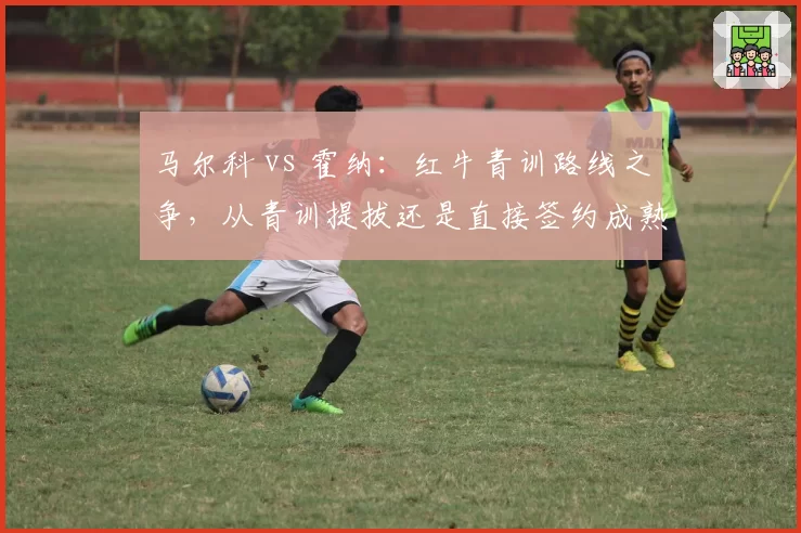 马尔科 vs 霍纳：红牛青训路线之争，从青训提拔还是直接签约成熟车手？