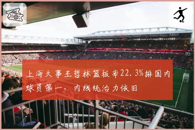 上海久事王哲林篮板率22.3%排国内球员第一，内线统治力依旧