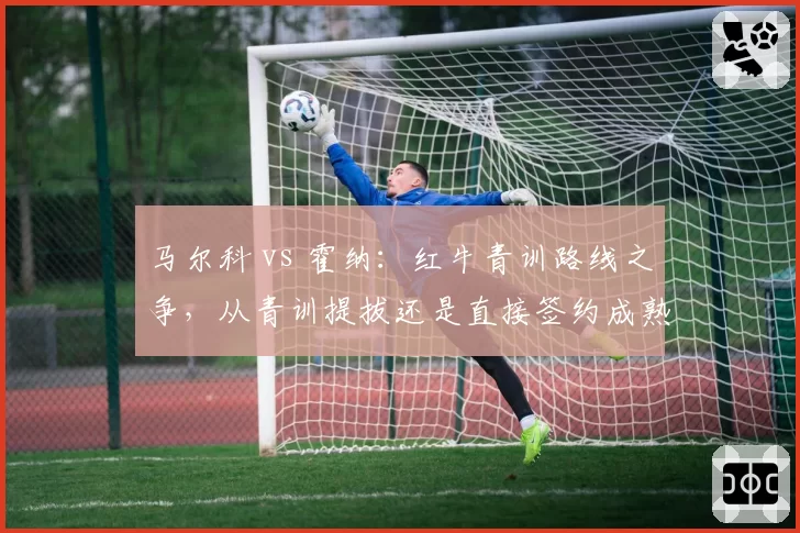 马尔科 vs 霍纳:红牛青训路线之争,从青训提拔还是直接签约成熟车手?
